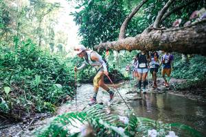 BIB: 
                            <button type="button" onclick="openModal(25444482)" class="btn btn-primary btn-sm float-right btn-popup" data-toggle="modal" data-target=".modal-high-quality">
                        <i class="fas fa-shopping-cart"></i> Add to Cart
                    </button>
                                            <button type="button" onclick="isThisMe(25444482, true)" class="btn btn-success btn-sm float-right btn-popup btn-isme hidden" data-toggle="tooltip" data-placement="bottom" title="นี่คือรูปของคุณใช่ไหม คลิกที่นี่เพื่อเอาเข้าอัลบั้ม">
                        <i class="fas fa-plus"></i> Add to album
                    </button>
                    <button type="button" onclick="isThisMe(25444482, false)" class="btn btn-warning btn-sm float-right btn-popup btn-isnotme hidden">
                        <i class="fas fa-ban"></i> Remove from album
                    </button>